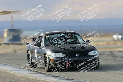 media/Nov-17-2023-Audi Club (Fri) [[31a1154707]]/Close Ups/